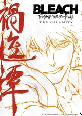Bleach: Sennen Kessen-hen - Kashin-tan