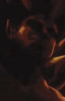 Spirit of Flame